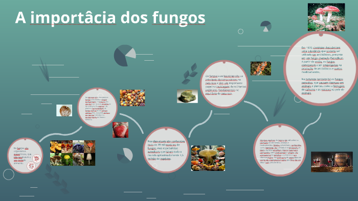 A Importância Dos Fungos By Alicya Maria 5802