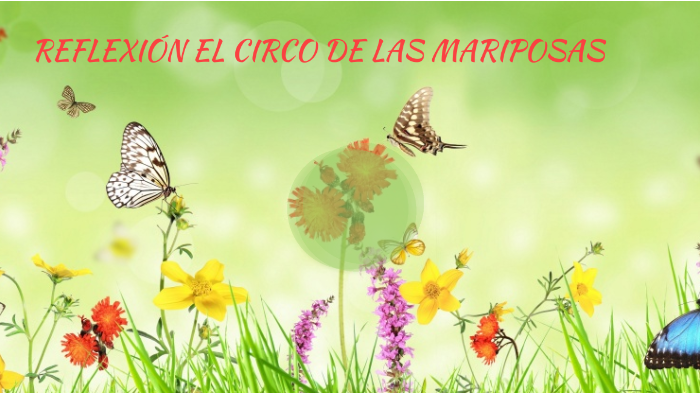REFLEXIÓN EL CIRCO DE LAS MARIPOSAS by Elisama Muñoz on Prezi
