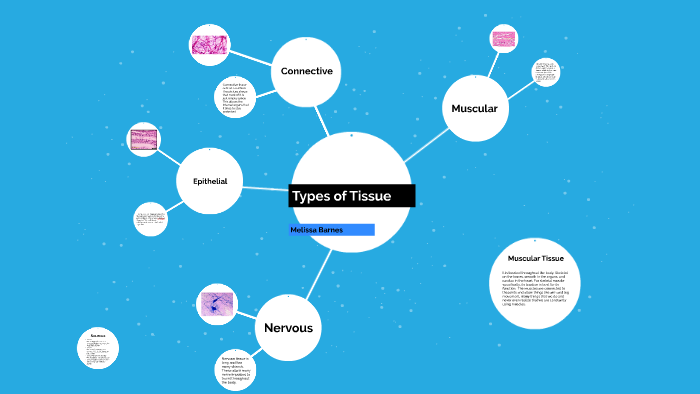 Types of Tissue by Melissa Barnes on Prezi