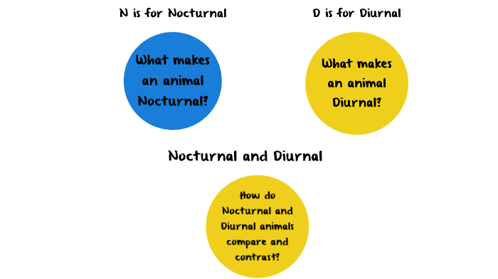 N is For Nocturnal by Corie West