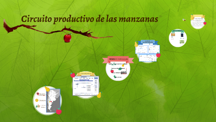 Circuito productivo de las manzanas by Paloma Albornoz