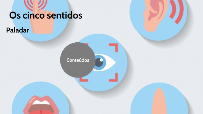 5 sentidos humanos paladar