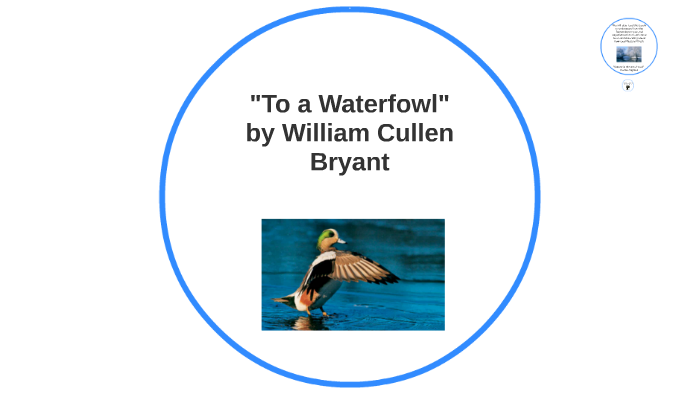  To A Waterfowl By Jonathan Pickering
