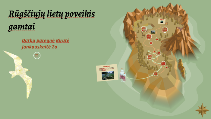 Rugsciųjų Lietų Poveikis Gamtai By Birute Jankauskaite