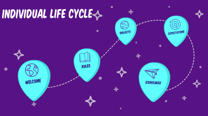 Individual Life Cycle Project by HANNAH PITTMAN on Prezi