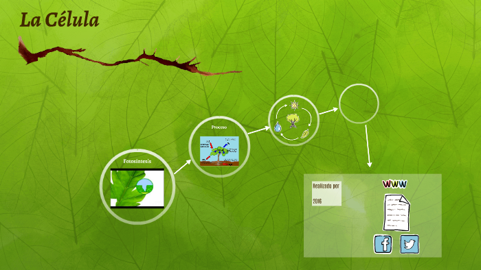 La Célula by Luz Elena Muñoz Lopera on Prezi