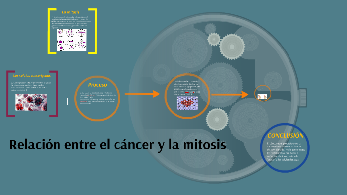 Relación Entre El Cáncer Y La Mitosis By Adrián Quiroz On Prezi Next