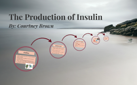 Insulin outline by Courtney Brown on Prezi