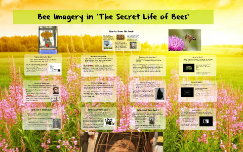 Bee Imagery In The Secret Life Of Bees By Heather Chapin