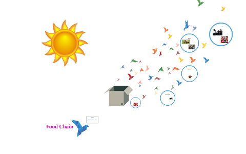 Food Chains by JA VE on Prezi
