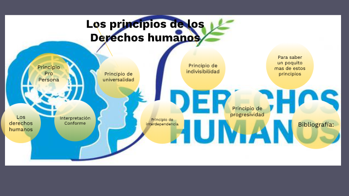 Principios De Los Derechos Humanos By Alfredo Olivares Valenzuela On Prezi