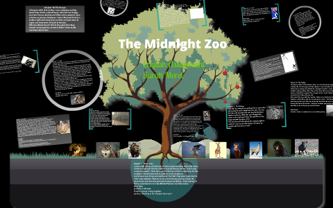 the midnight zoo essay