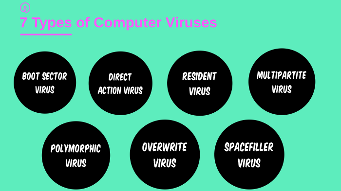 10 Types Of Computer Viruses