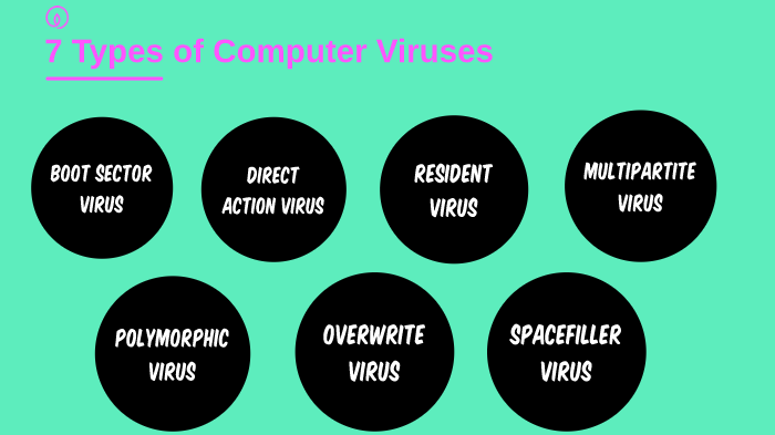 Types Of Computer Viruses By Joshua Angeles