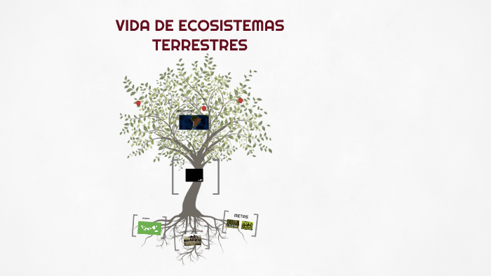 VIDA DE ECOSISTEMAS TERRESTRES by Paula López