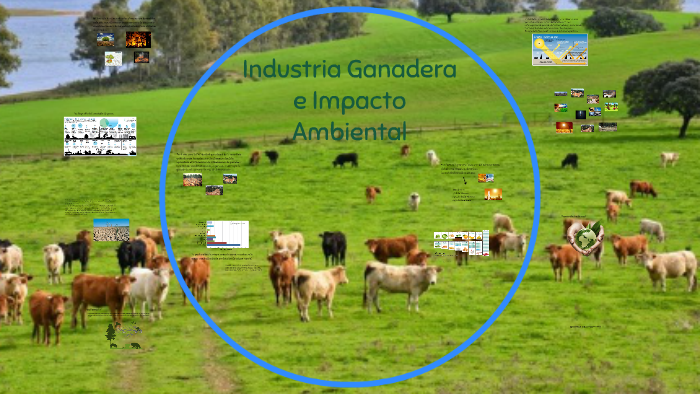 Producción Ganadera E Impacto Ambiental – GOFE