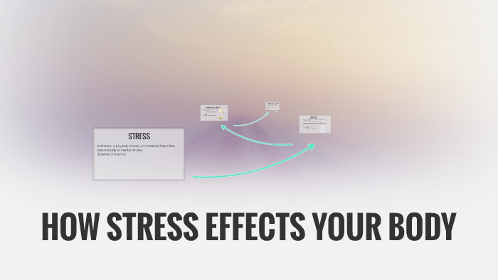 HOW STRESS EFFECTS YOUR BODY by Lauren Doherty on Prezi