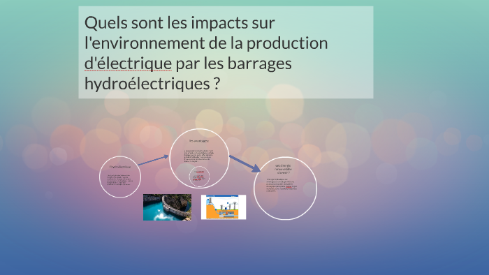 Quels sont les impacts sur l'environnement de la production by mélody ...