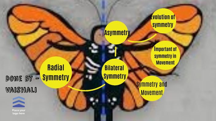 Bilateral Symmetry Butterfly