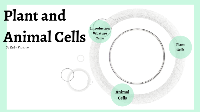 Plant And Animal Cells by Ruby Vassallo on Prezi