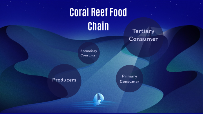 Coral Reef Biome Food Chain By Emma Raemisch On Prezi 1418