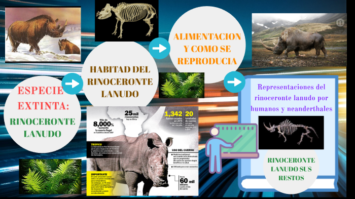 ESPECIE EXTINTA DEL RINOCERONTE LANUDO by Brenda Damián Rojas on Prezi