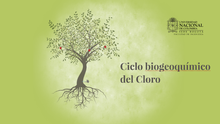 Ciclo biogeoquimico del Cloro (Cl) by Christian Grajales on Prezi