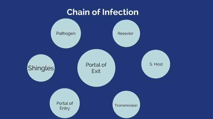 Chain of Infection-Shingles by Lucas Felipe