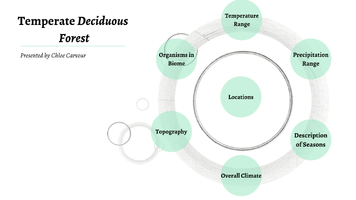 Temperate Deciduous Forest by Chloe Carvour on Prezi