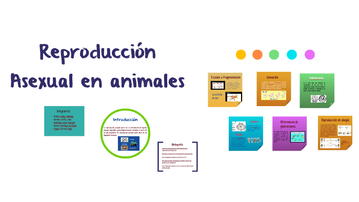 Reproducción Asexual en animales by Nathaly Medina Cutipa on Prezi