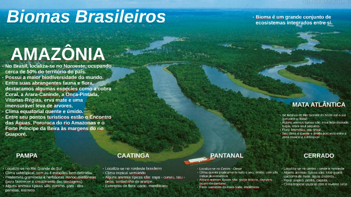 Biomas Brasileiros by Alissa Rodrigues on Prezi