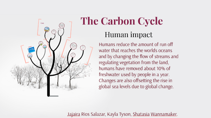 The Carbon Cycle by Jajaira Rios-Salazar on Prezi