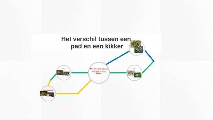 Het verschil tussen een pad en een kikker by niels bruijn on Prezi