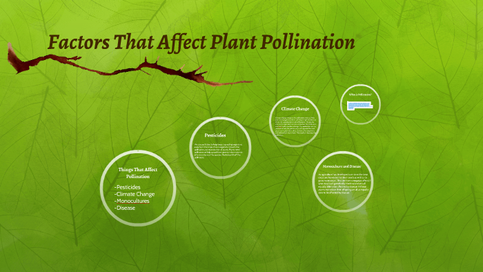 Factors That Affect Plant Pollination by Brooke Kerr on Prezi