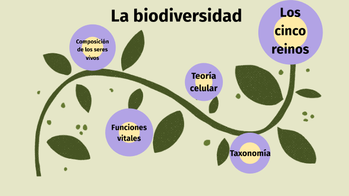 La biodiversidad by david vecino