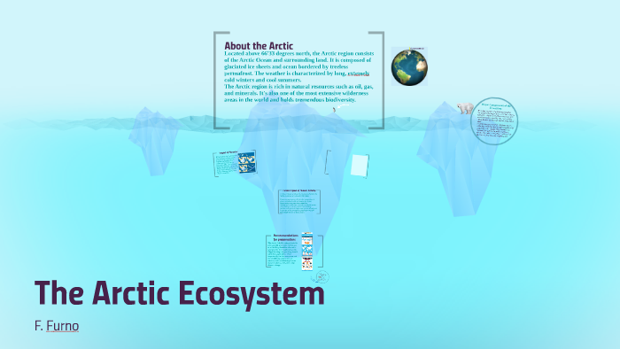 The Arctic Ecosystem by Faith Furno on Prezi