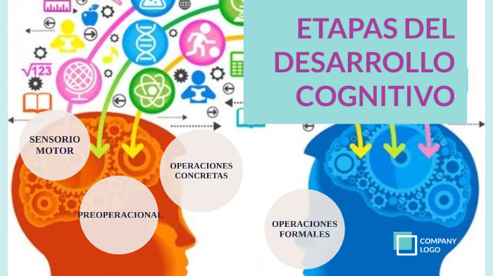 etapas del desarrollo cognitivo by ninoska molina esteves