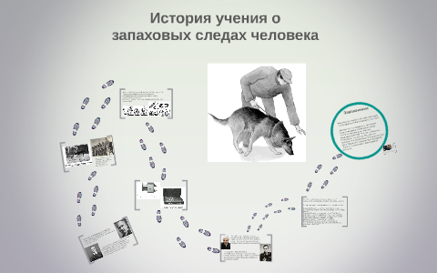 Количество запаховых объектов находящихся в одном ряду с эталоном образцом запаха