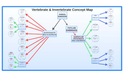 Vertebrate & Invertebrate Concept Map by Zackary Guillemette