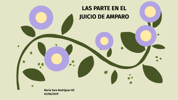LAS PARTES EN EL JUICIO DE AMPARO by Sara Rodriguez on Prezi