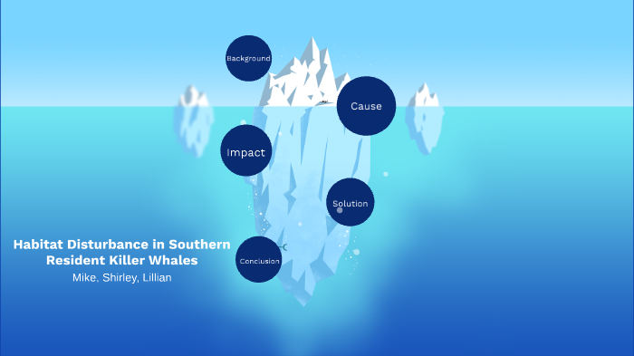 Killer Whale Habitat by Lillian Lam on Prezi