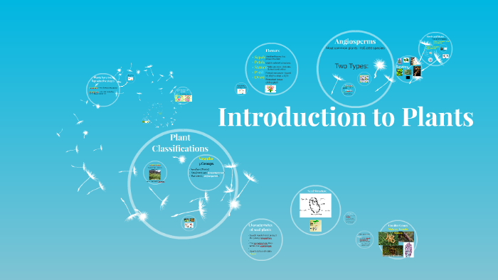 Introduction to Plants by Seth O'Connell on Prezi
