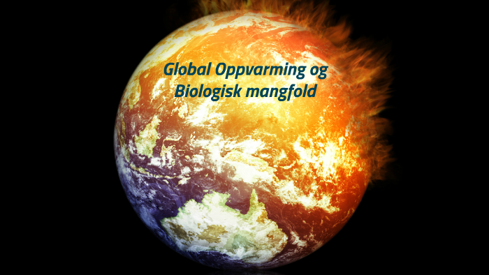 Global Oppvarming Og Biologisk Mangfold By Kjell Kristian Netland On Prezi