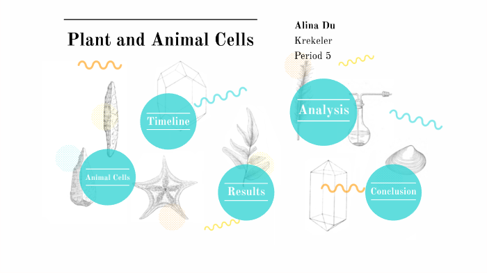Plant and animal cells by Alina Du on Prezi