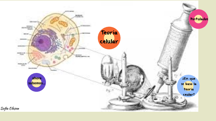 Teoría celular by sofia olesen on Prezi