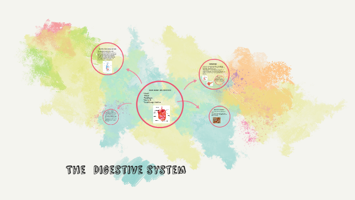The Digestive system by on Prezi