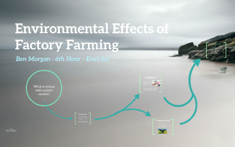 Environmental Effects Of Factory Farming By Ben Morgan On Prezi