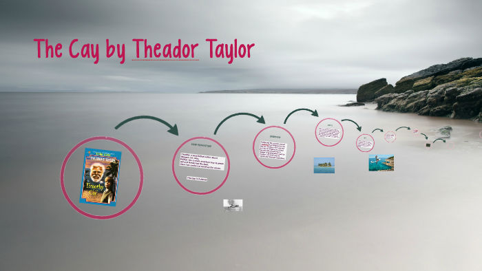 The cay chapter 11 summary image