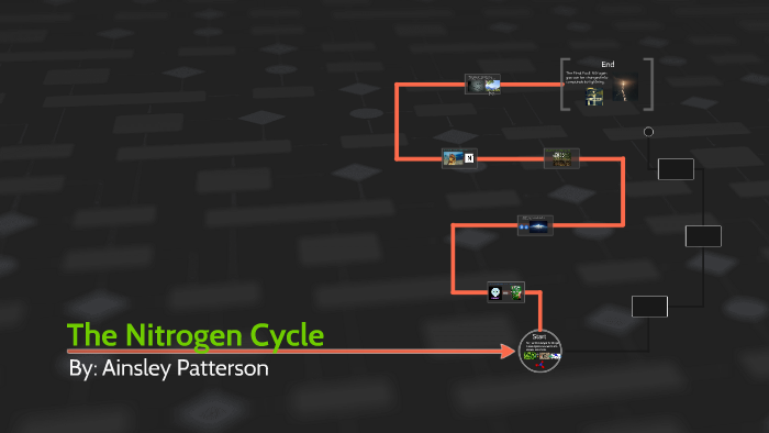 The Nitrogen Cycle by Ainsley Patterson on Prezi