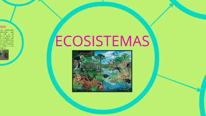 ECOSISTEMAS by Maggie Hernández Gutiérrez on Prezi